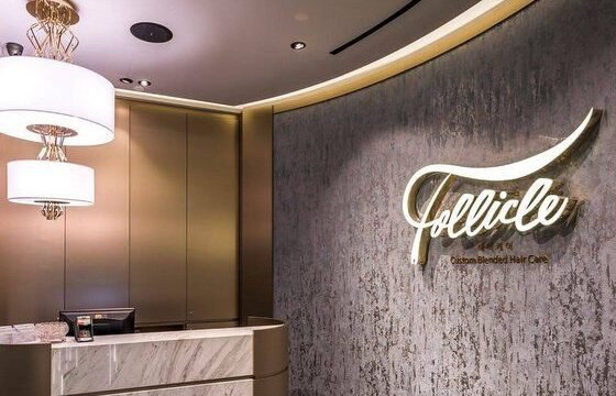 follicle-singapore.jpg